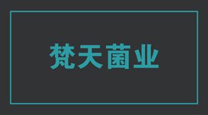 工作服定制设计款式