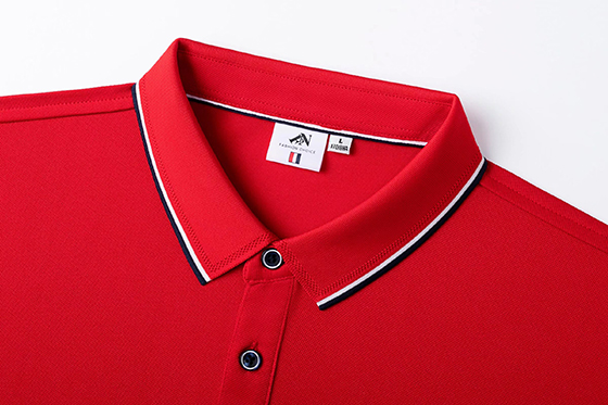 TX0173冰离子边条领(pic3)